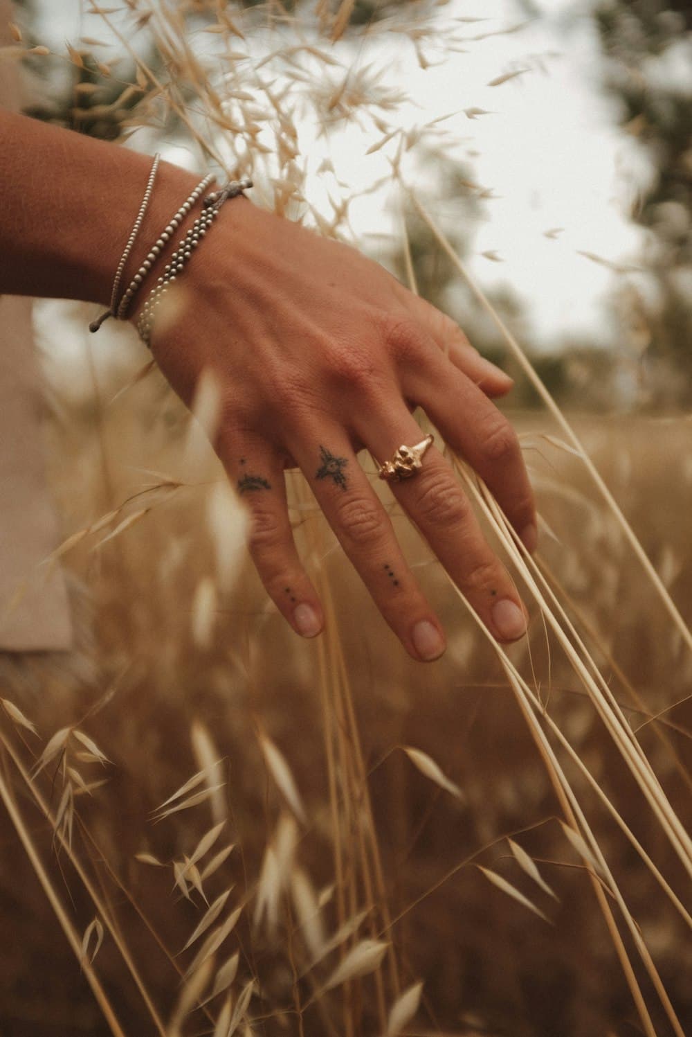 A woman's hand brushing through tall golden grass